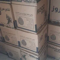 تخم مرغ نوک زده مخصوص قنادی