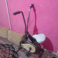 دوچرخه ورزشی ایستاده