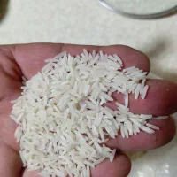 برنج طارم اشرافی عطر و ری عالی فریدونکنار|خوردنی و آشامیدنی|تهران, کاج|دیوار