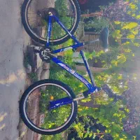 دوچرخە سایز 26،اولورد کوهستانی