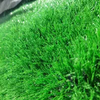 عرضه کاغذ دیواری و چمن مصنوعی
