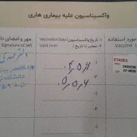 واگذاری پیت بول ۸ ماهه|سگ|تهران, اقدسیه|دیوار