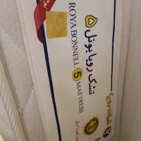 تشک نوجوان رویا بونل ۵  نو و آکبند