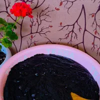 رب آلوچه/انار محلی ارگانیک(ترشی سیاه) برای فسنجان|خوردنی و آشامیدنی|بندر انزلی, نوغان|دیوار
