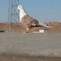 هوایی پرنده