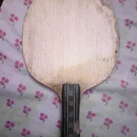 چوب راکت پینگ پنگ الیگیتور