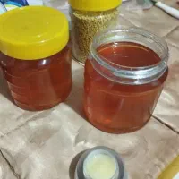 عسل طبیعی