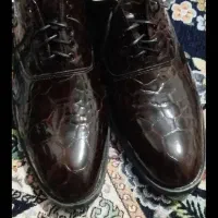 کفش مدل ورنی جوان پسند|کیف، کفش، کمربند|سراوان, |دیوار