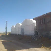 فروش گلخانه|فروش دفتر صنعتی، کشاورزی، تجاری|عسگران, |دیوار