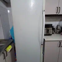 فریزر الکترواستیل کارکرده