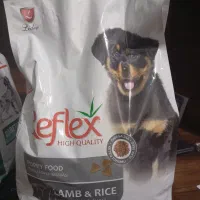 غذای خشک سگ(reflex puppy lamb and rice)