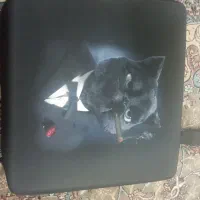 پلی در حد نو فول بازی با 2دسته|کنسول، بازی ویدئویی و آنلاین|دلیجان, |دیوار