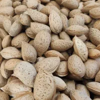 بادام درختی|خوردنی و آشامیدنی|تهران, حر|دیوار