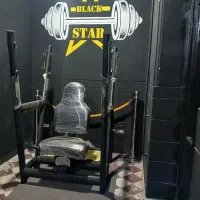 میز سرشانه هالتر نشسته شرکت انرژی