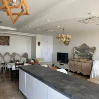 اجاره ۱۶۰ متری ۳خواب مستر/ ویو بدون مشرف جنوبی|اجارهٔ آپارتمان|تهران, شهرک دانشگاه شریف|دیوار