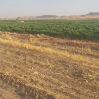 زمین اجاره ای