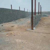 یک واحد پروار بندی بره ۱۹۹ راسی