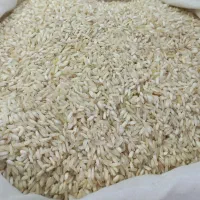 برنج ایرانی سرلاشه خوشپخت محصول فریدونکنار (10gk)|خوردنی و آشامیدنی|مشهد, گاز|دیوار