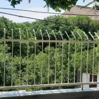 اجاره سوئیت واقع درروستای آستانه چشمه علی