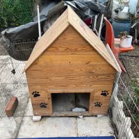 خانه سگ چوبی