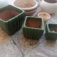 تعدادی گلدون سالم