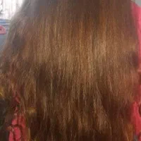 خریدار اصلی