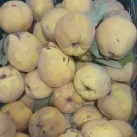 به شیرین و خوش طعم|خوردنی و آشامیدنی|سبزوار, امیریه|دیوار