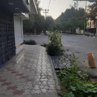 . فقط با 50 میلیون 500 متری بخر