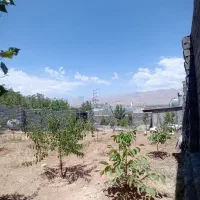 350باغچه30بنا-باغستان-انشعابات-جلوملک