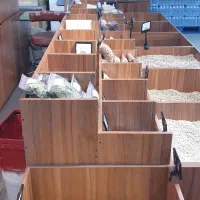 استخدام همکار خانم در جزیره هایپر فامیلی برج صدف