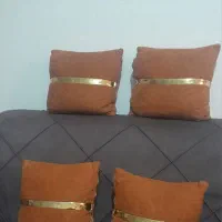 ۴ عدد کوسن درحدنو