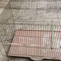 قفس پرنده