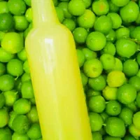 ابلیمو طبیعی جهت رستوران طباخی میوه فروشی