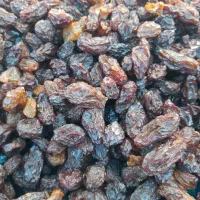 کشمش،مویز|خوردنی و آشامیدنی|یاسوج, |دیوار