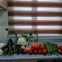 محصولات خانگی