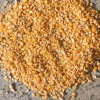 لپه خرده باب فلافل