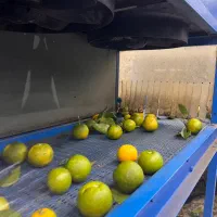 بسته بندی مرکبات