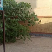 همکف حیاط اختصاصی خانه کارگر ۸۰متر|اجارهٔ آپارتمان|شاهین‌شهر, ۹ دی|دیوار