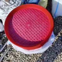 سینی یه روزه پرنده مرغ و دونخوری بوقلمون|عمدهفروشی|گرمسار, |دیوار