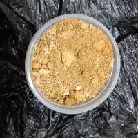 خاک دارای ذرات طلا