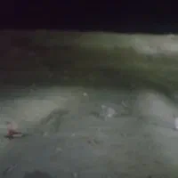 فروش زمین دهنو پایین