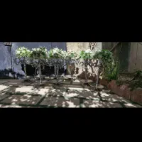 فروش میز .بک میز کیک.جایگاه تولد .جایگاه|خدمات پذیرایی، مراسم|چهارباغ, |دیوار