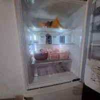 یخچال فریزر اسنوا خورموج|یخچال و فریزر|خورموج, |دیوار