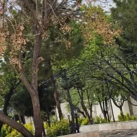 اجاره-روزانه-باغ-ویلا-شاهنامه-14
