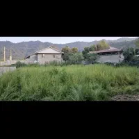 نی (اسم تالشی له له)