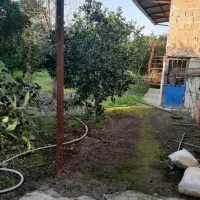 زمین مسکونی باغی|فروش زمین و ملک کلنگی|خوش‌رودپی, |دیوار