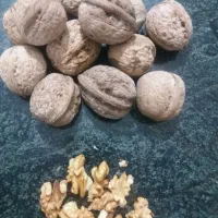 گردو|خوردنی و آشامیدنی|پاوه, |دیوار
