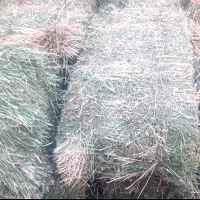 یونجه|عمده‌فروشی|سراب, |دیوار