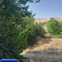 باغ با موقعیت تفریحی گردشگری|فروش خانه و ویلا|بوستان, |دیوار