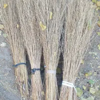 جارو دسته ای ۵۰ هزار